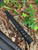 (You Pick) CUSTOM  PAINT REMINGTON TAC-14 Heat Shield Shotgun ROUGH MODIFIED