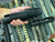 POOR MANS Surefire G2X Mossberg Forend TACTICAL RIG 500 590 Shotgun  7 3/4 Tube