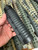 HOME DEFENSE Barrel MOSSBERG 500 18.5"  SHORTY 18 + Tactical PHOENIX FOREND