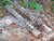 FALUJAH GRID SAVAGE 350 DURACOAT Heat Shield Shotgun 12 Gauge  TACT