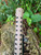 Defender Mini Shell Adaptor + FDE TAN Mossberg Shockwave Heat Shield Shotgun Defender Mini Shell Adaptor + FDE TAN Mossberg Shockwave Heat Shield Shotgun