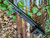 (SCRATCHED) Mossberg 500 Tactical Steel HEAT SHIELD 12 Gauge Smooth Tactical