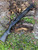 Mossberg 930 CUSTOM Vapor Eye Heat Shield + BLACK MULTICAM CAMO Wrap Shotgun Mod 1 & 2