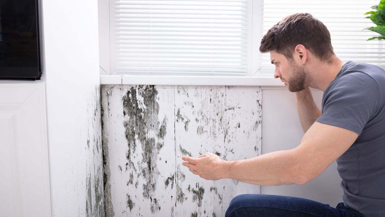 Drywall Moisture Prevention