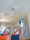 Graco Texspray Mark X ProContractor Series Sprayer - 240 Volt