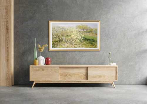 Deco TV Frames - Alloy Prismatic Bezel for Samsung The Frame TV - 65" - Pale Gold