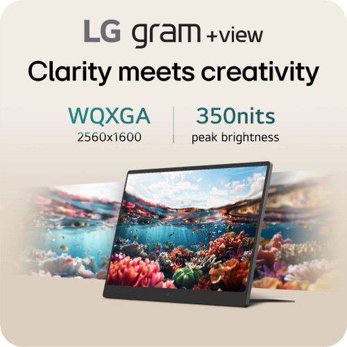 LG - gram +view 17" IPS WQXGA 60Hz Portable Monitor (USB Type-C, mini-HDMI port) - Titan Silver