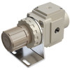 Vacuum Regulator replacement part for AmeriVacS sealers only. Order for all cannabis use.
