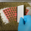 GPC Filling pods