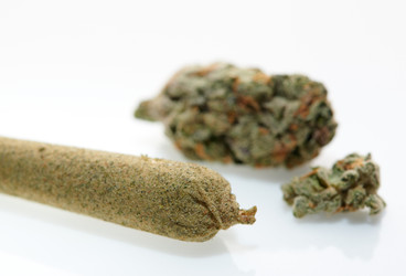 Revolutionizing Kief Extraction: The Cryogenic Giant Grasshopper by Python Industries