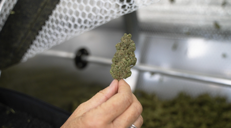 The TTT 3000: A Versatile Bud Trimmer for Trimming, Kiefing, Sorting, and Cryogenic Processing