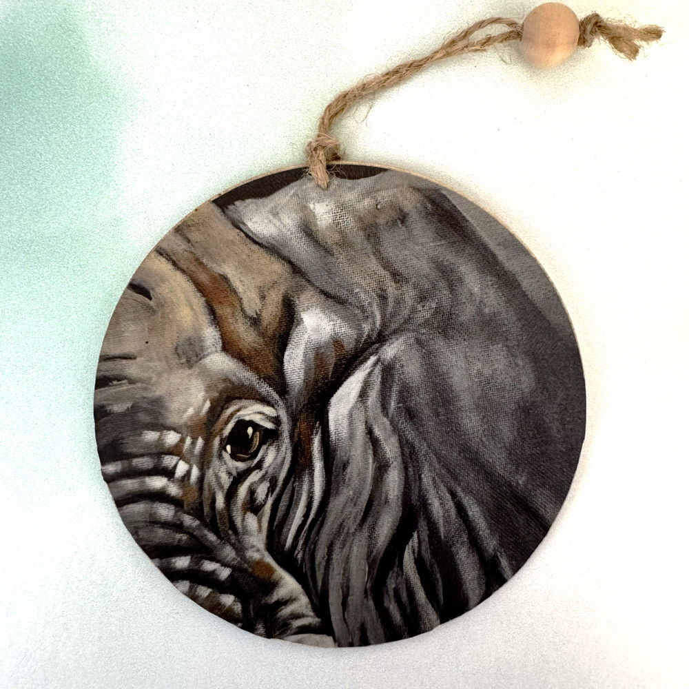 Eye of the Tiger OR Eye of the Elephant