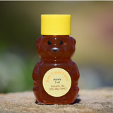 mini honey bear raw Alabama honey 2 oz bottle Shelby County honey gift favor
