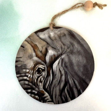 Eye of the Tiger OR Eye of the Elephant