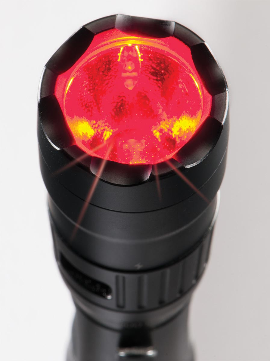 Combining the latest lighting technology along with an array of