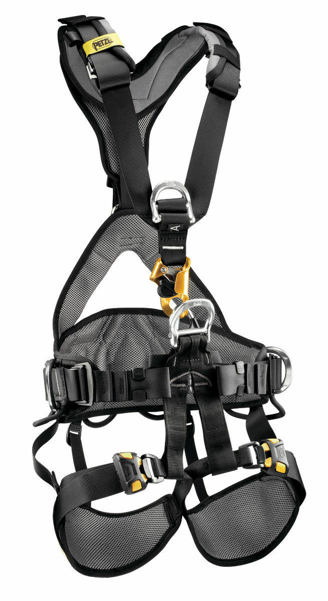 AVAO® BOD CROLL® FAST international version