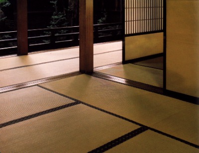 Half a tatami to stand on, a tatami mat to sleep on