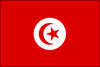 Tunisia (UN) - Indoor Flags