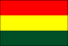 Bolivia (No Seal) Outdoor Flags