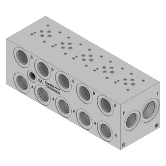 Ductile Valve Manifold - DD03HP052S/C