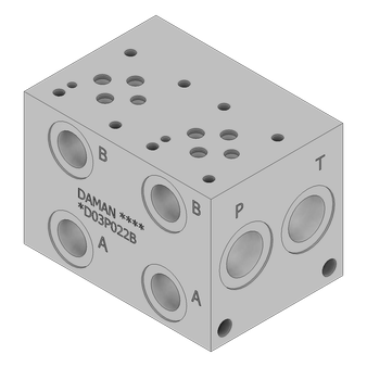 Ductile Valve Manifold - DD03P022B/PA