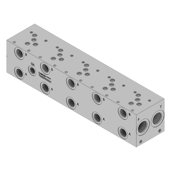 Ductile Valve Manifold - DD05P053S/C