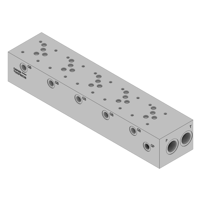 Ductile Valve Manifold - DD05PB053B