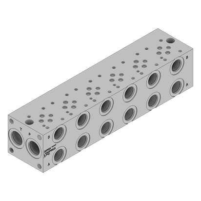 Aluminum FlexMount Manifold - LAD03P062S/CPCD