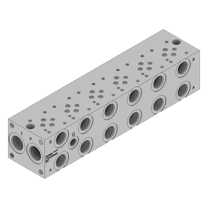 Aluminum FlexMount Manifold - LAD03P062S/GC