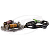 Stator compatible with Kawasaki 21003-3718 TS