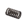 Valve Spring - Honda 14751-MAT-003 F12X, F12, R12, R12X (Select Models)