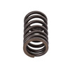 Valve Spring - Yamaha 6S5-12113-00-00 FX SHO, FZR, FZS (Select Models)