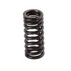 Valve Intake Spring - Yamaha 4XV-12113-00-00 VX110 Deluxe (Select Models)