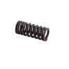 Valve Intake Spring - Yamaha 4XV-12113-00-00 VX110 Deluxe (Select Models)