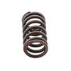 Outer Valve Spring - Kawasaki Ultra LX, Ultra 310LX (Select Models)
