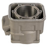Bare Single Cylinder for Sea-Doo 421000056, 420923806, 420923805