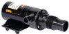 PENTAIR SHURFLOÂ® - MACERATOR PUMP - Description: Std. port GPM: 13 Volts: 12 Amps: 17