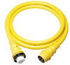 MARINCOÂ®  - 50A POWERCORD PLUS CORDSET - Rating: 50A, 125/250V Length: 50' Color: Yellow