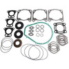 Complete Gasket Kit Fits Polaris 5811550 5830123 5830043 Genesis Virage TX