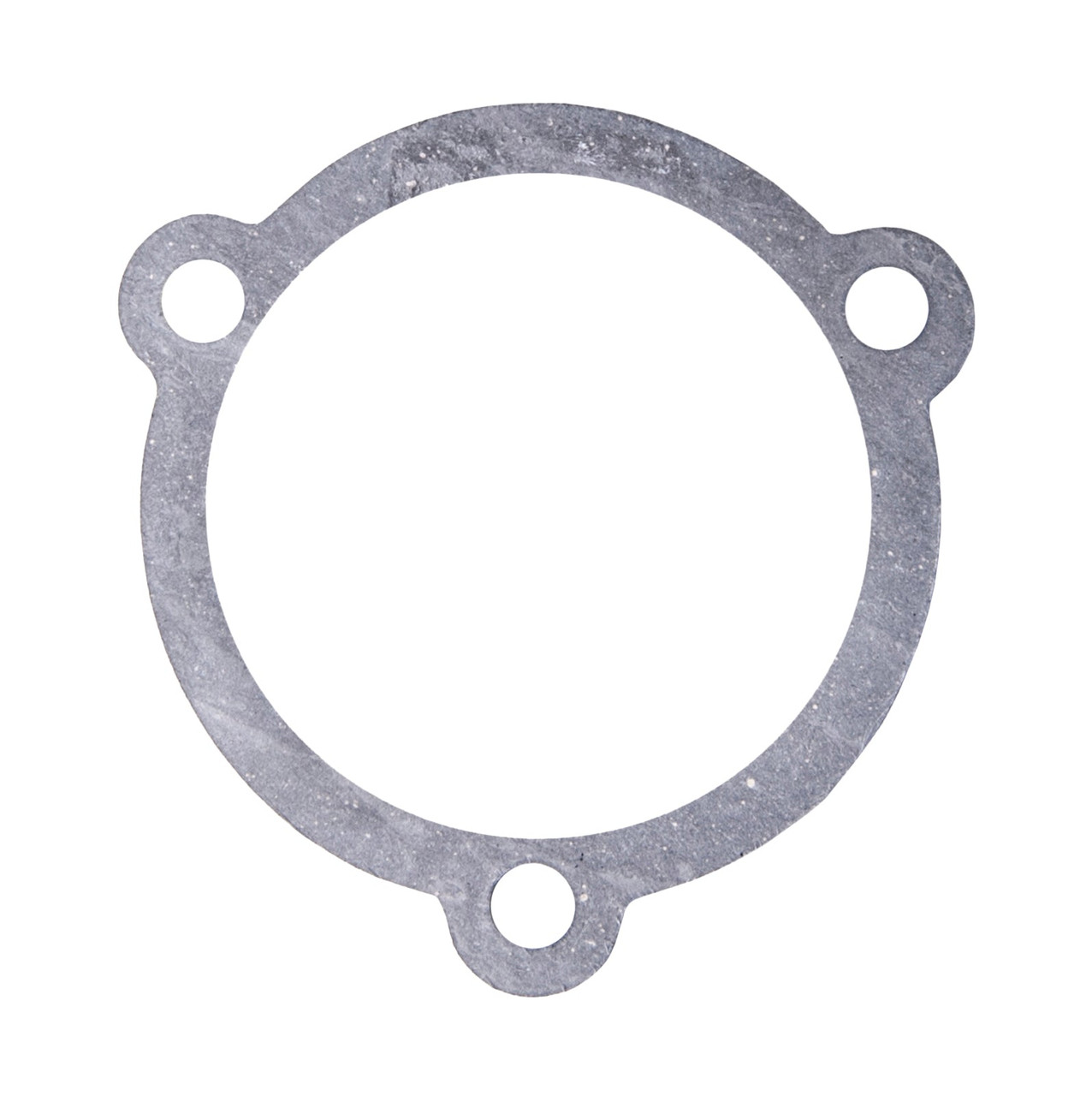 Flame Arrestor Gasket for Tigershark 900/Daytona 770/Monte Carlo 770/900/Daytona 1000