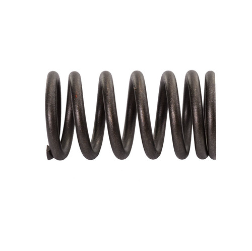 Valve Spring - Yamaha 6S5-12113-00-00 FX SHO, FZR, FZS (Select Models)