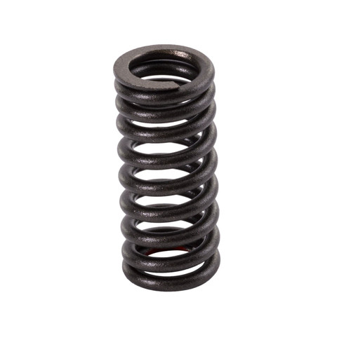 Valve Intake Spring - Yamaha 4XV-12113-00-00 VX110 Deluxe (Select Models)