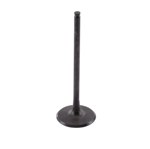 Intake Valve - Kawasaki Ultra LX, Ultra 310LX 12004-1154 (Select Models)
