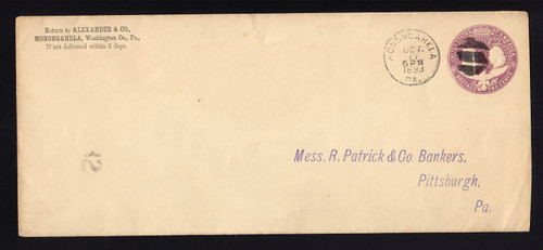 U349 UPSS# 1161 2c Violet on White, Die 95C, Type 9, Used Entire