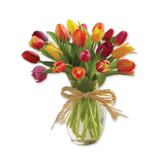 JOYFUL BLOOMS BEST SELLER! Vogue Flowers