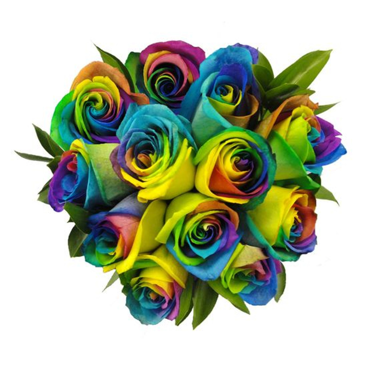 Rainbow Roses