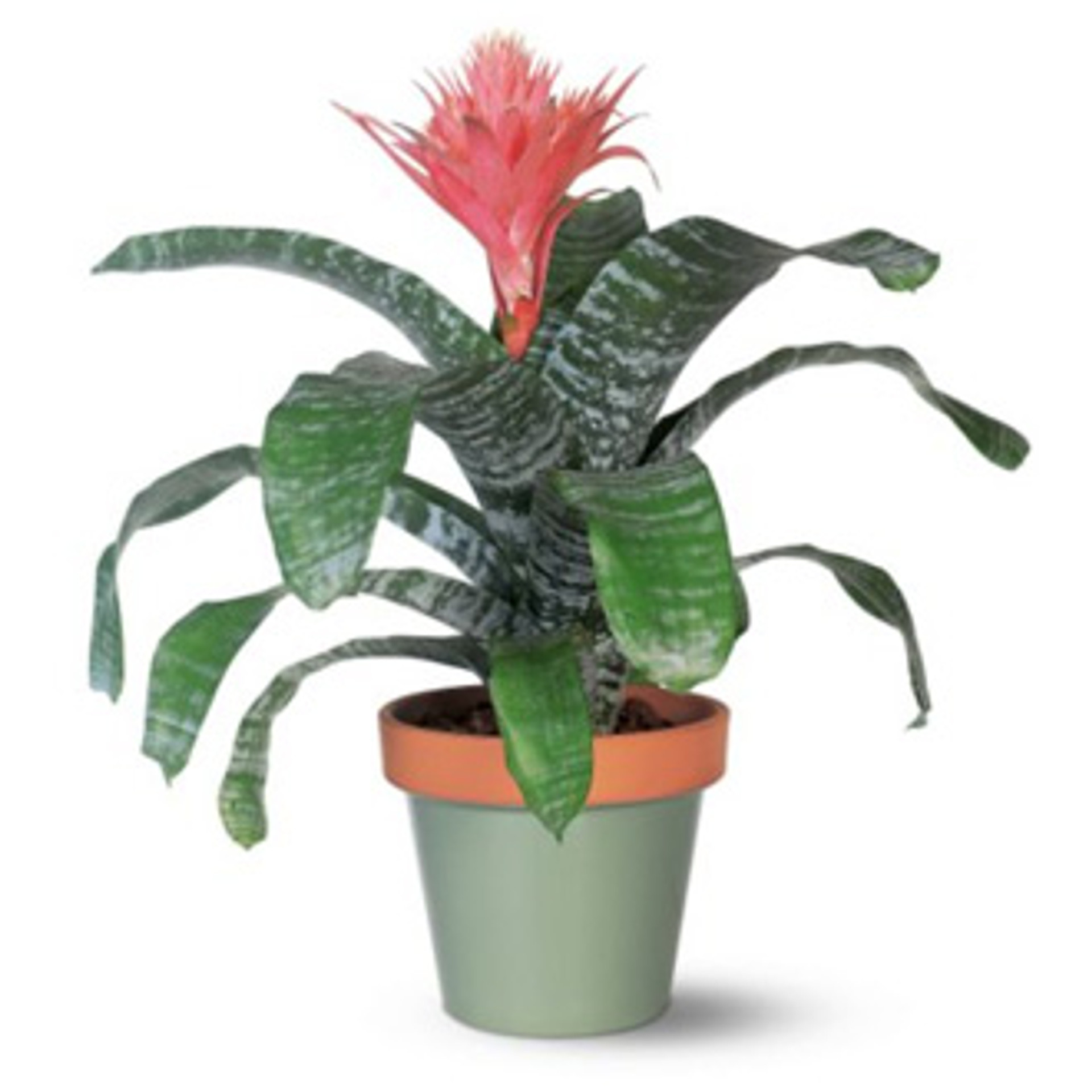 VINTAGE GARDEN BOUQUET