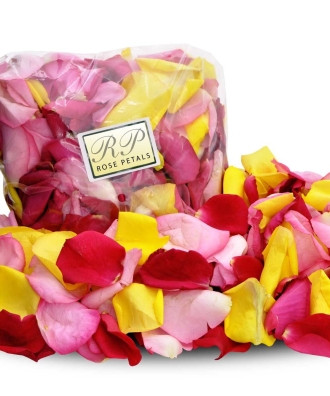 BLUSH ROSE WRIST CORSAGE Vogue Flowers