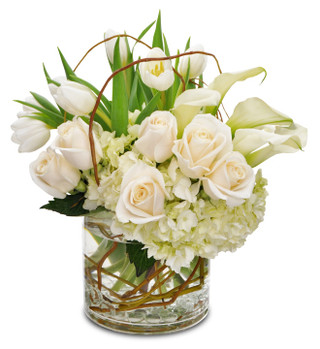 Vogue Elegant Whites