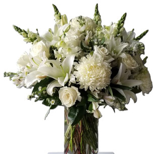 Vogue Stunning Beauty